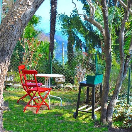 Apartment The Palm With Garden Sala Comacina Buitenkant foto